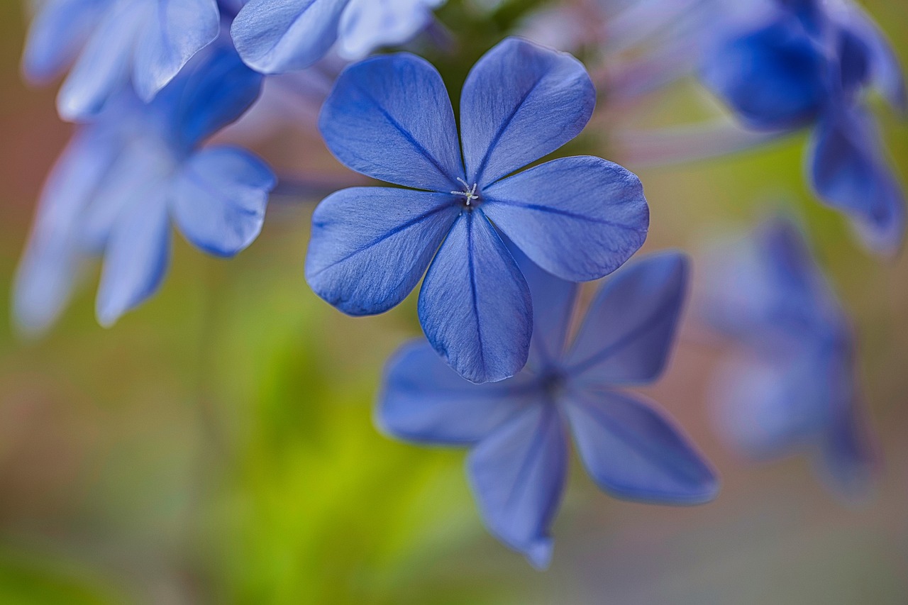 Garden Crafts for Kids to Cultivate their Green Thumb